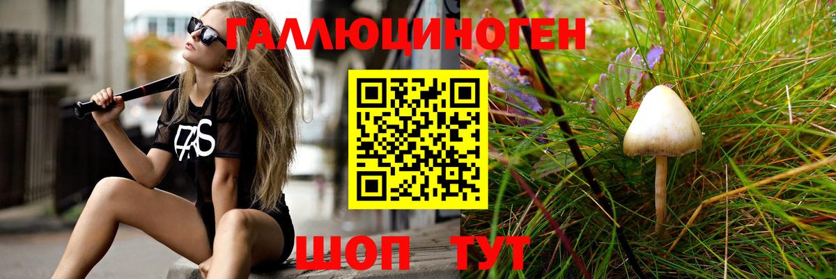 Псилоцибиновые грибы мицелий Кумертау